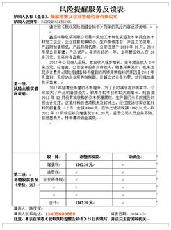 蓝山税务服务